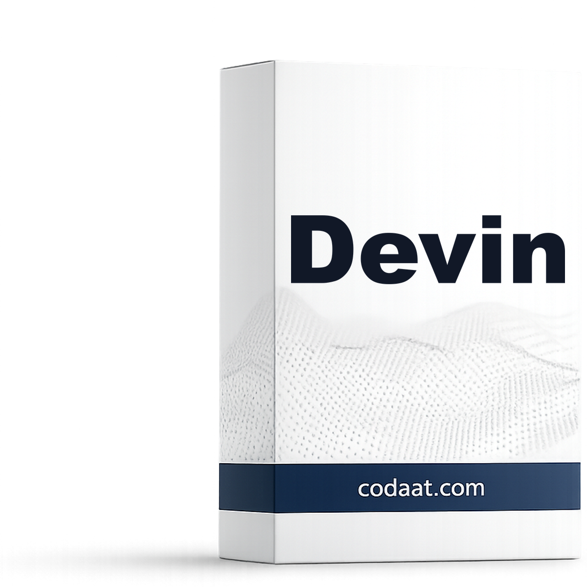 Devin Team 1 Month