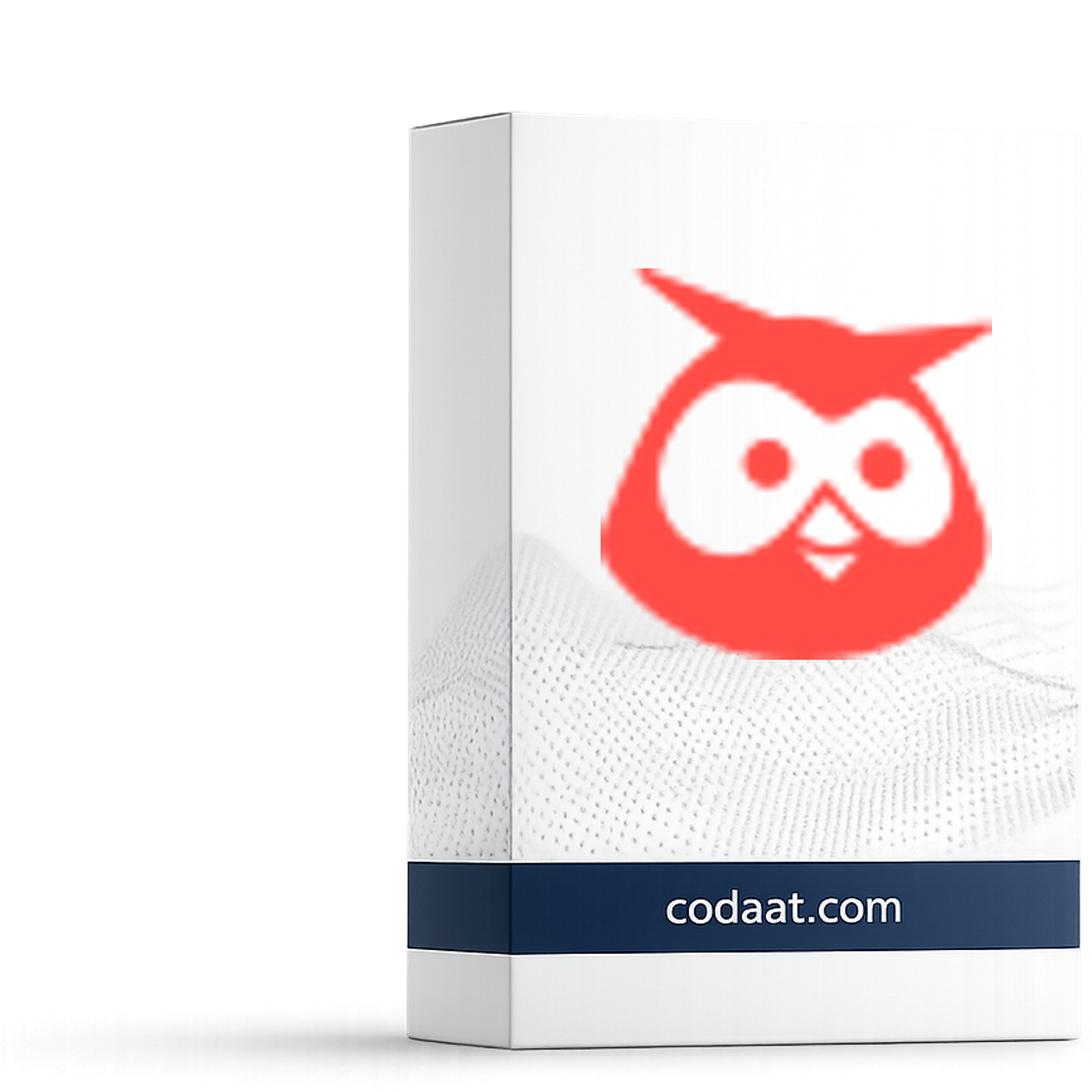 Hootsuite Professional 12 Months