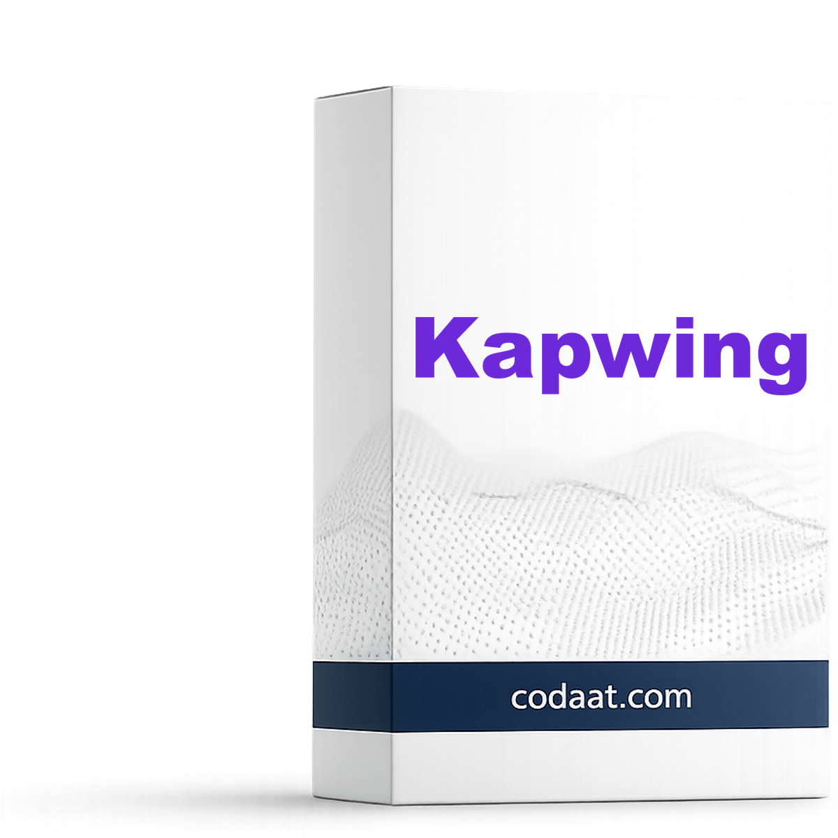 Kapwing Pro 1 Month