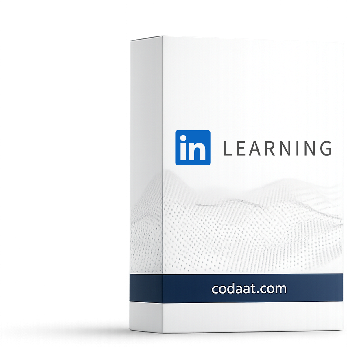 LinkedIn Learning 12 Months