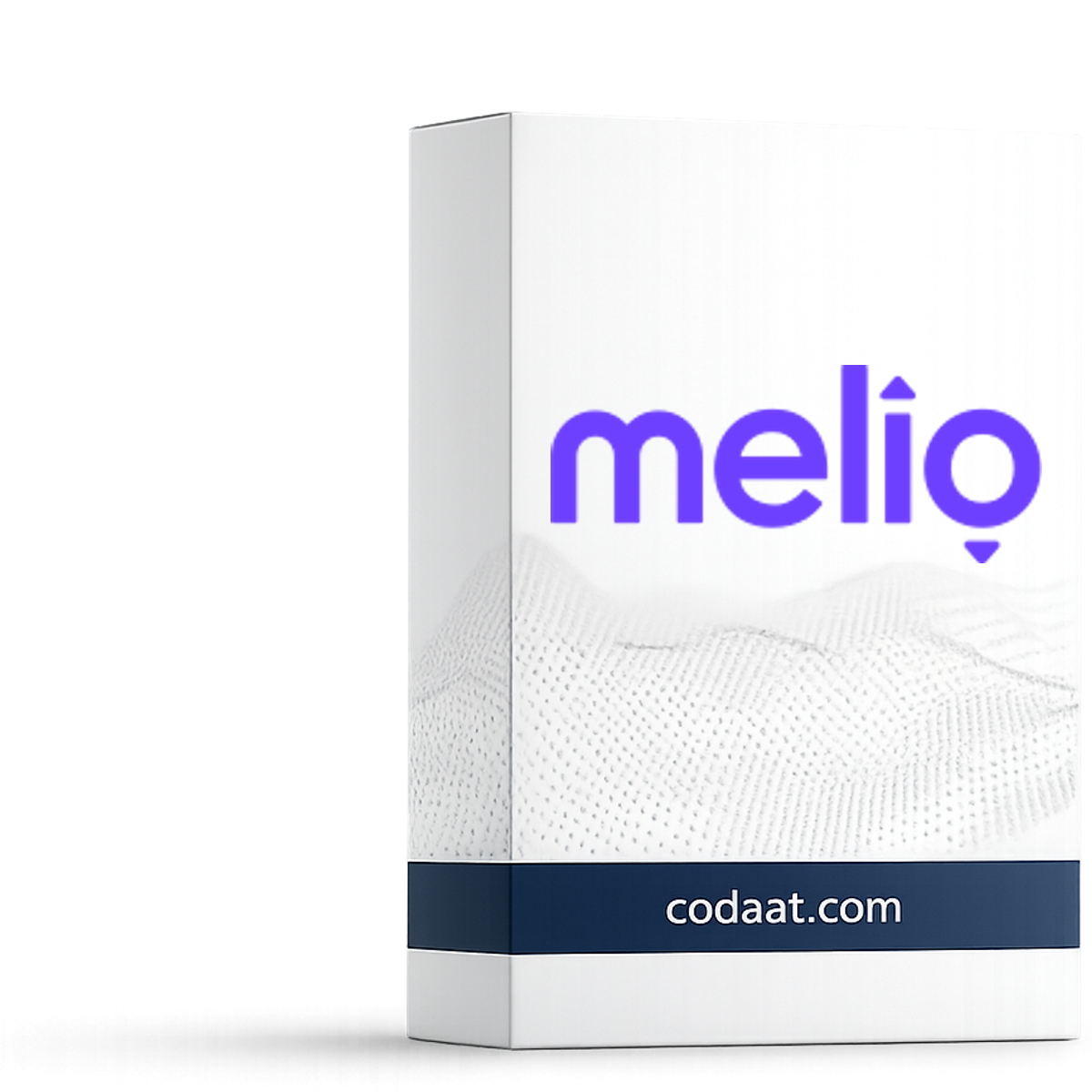 Melio Payments Business 12 Months