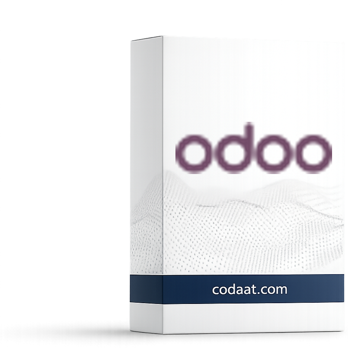 Odoo Accounting 12 Months