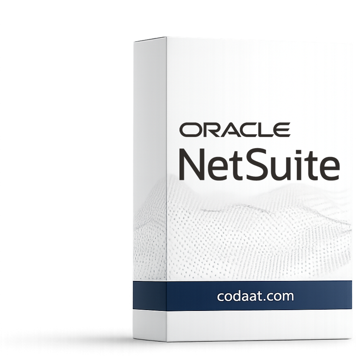 Oracle NetSuite ERP Starter 1 Month