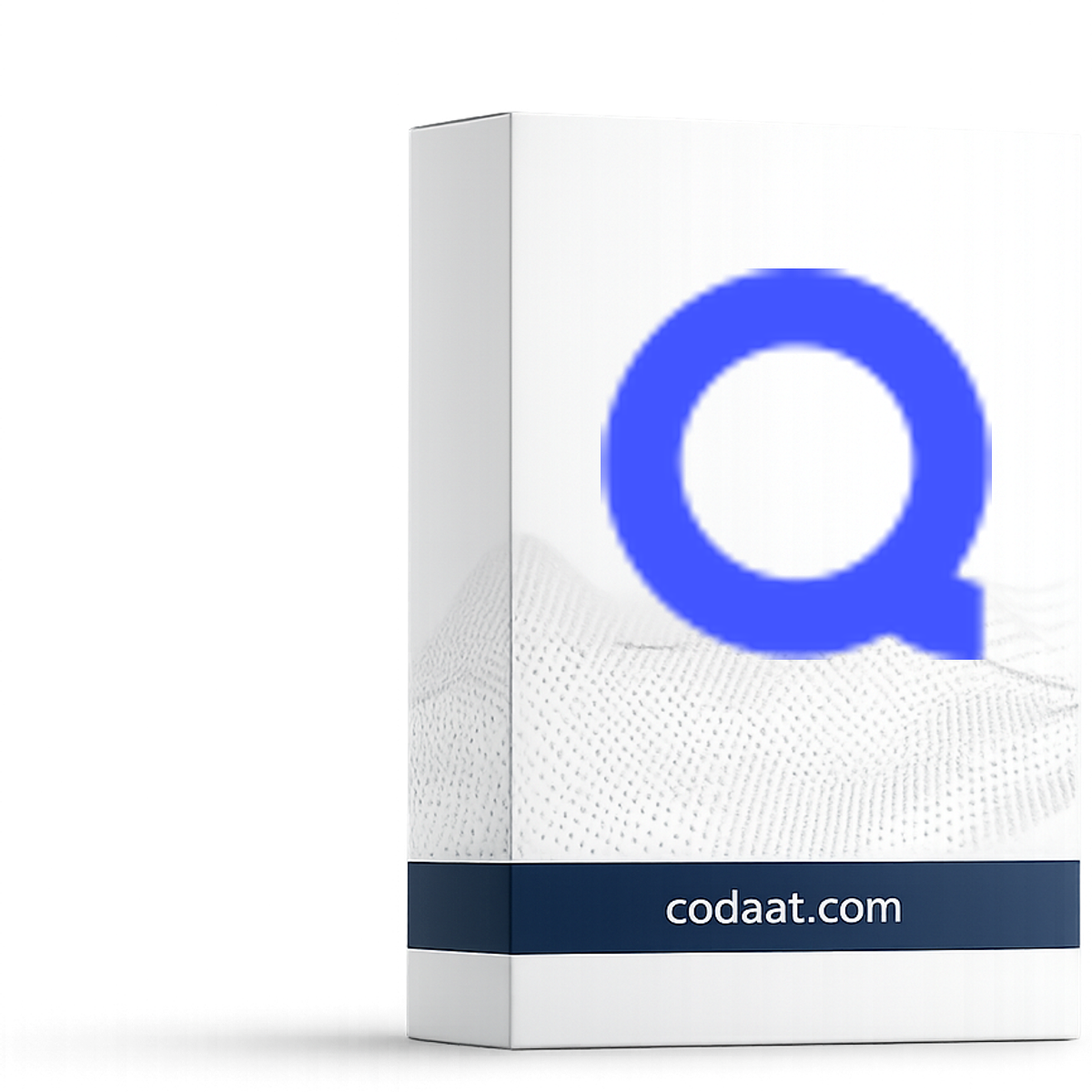 Quizlet Plus 12 Months