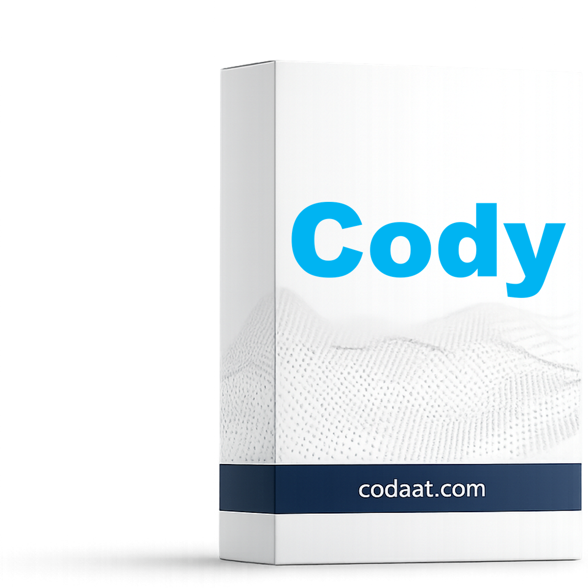 Sourcegraph Cody Pro 1 Month