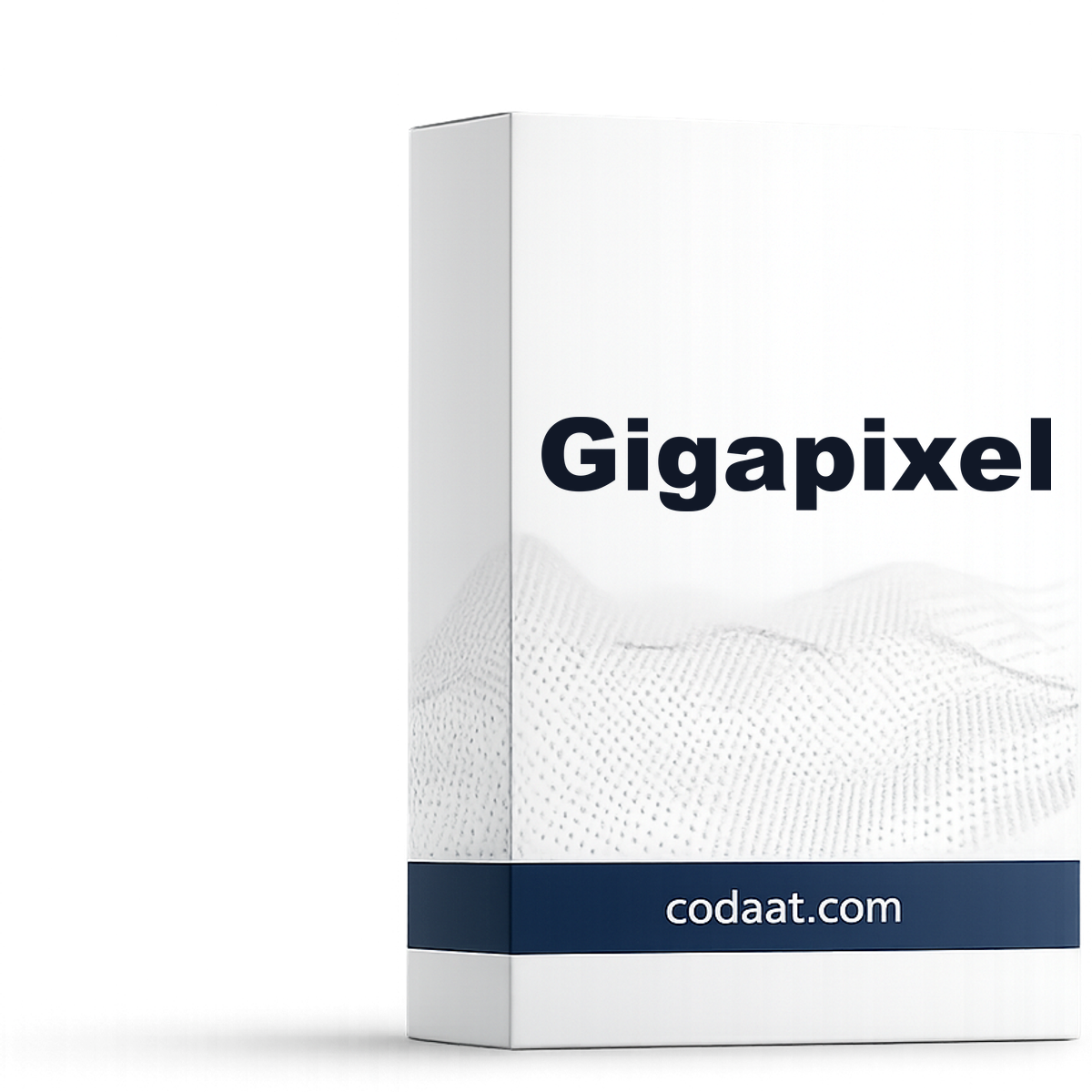 Topaz Gigapixel AI 1 Year